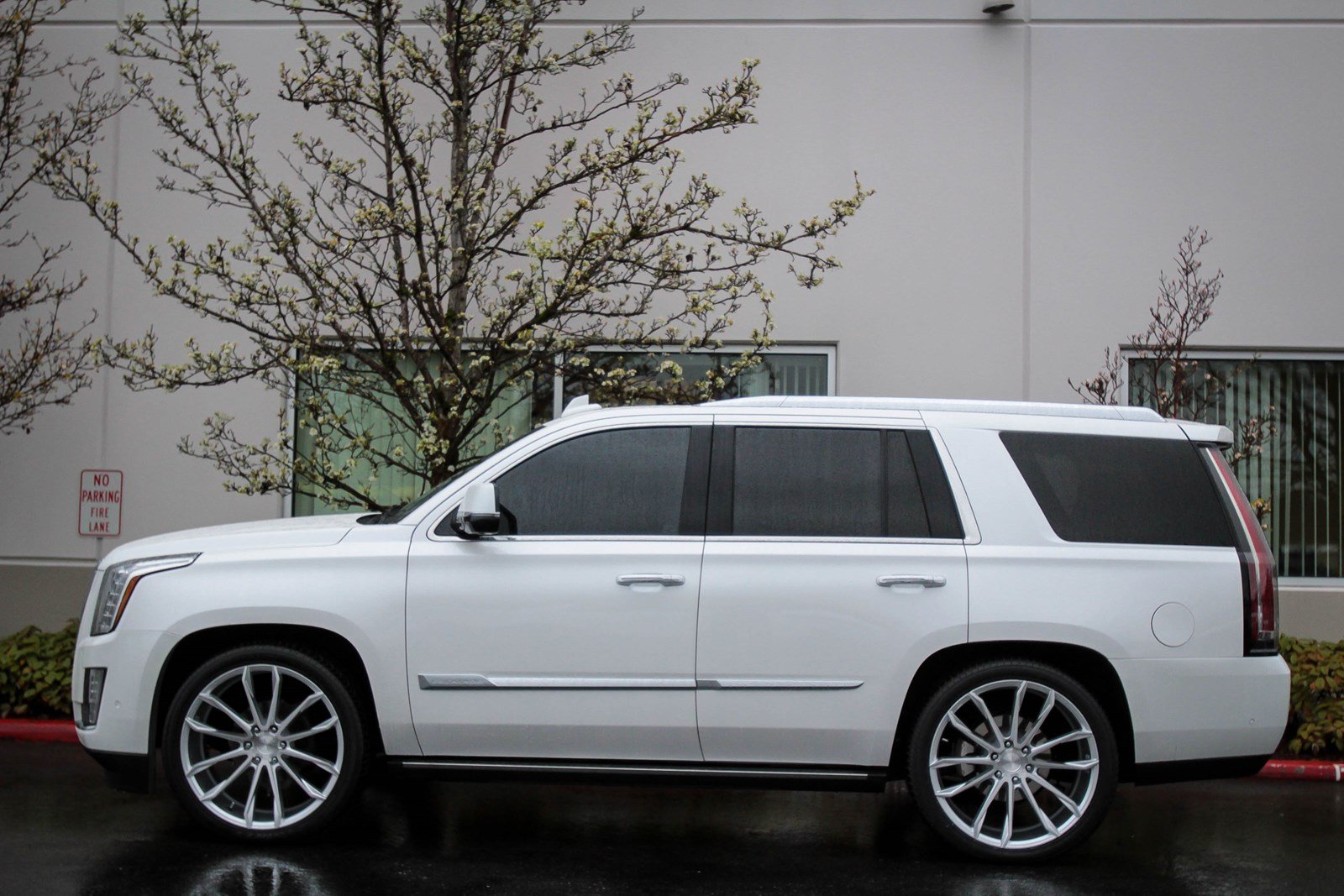 Cadillac escalade sport platinum