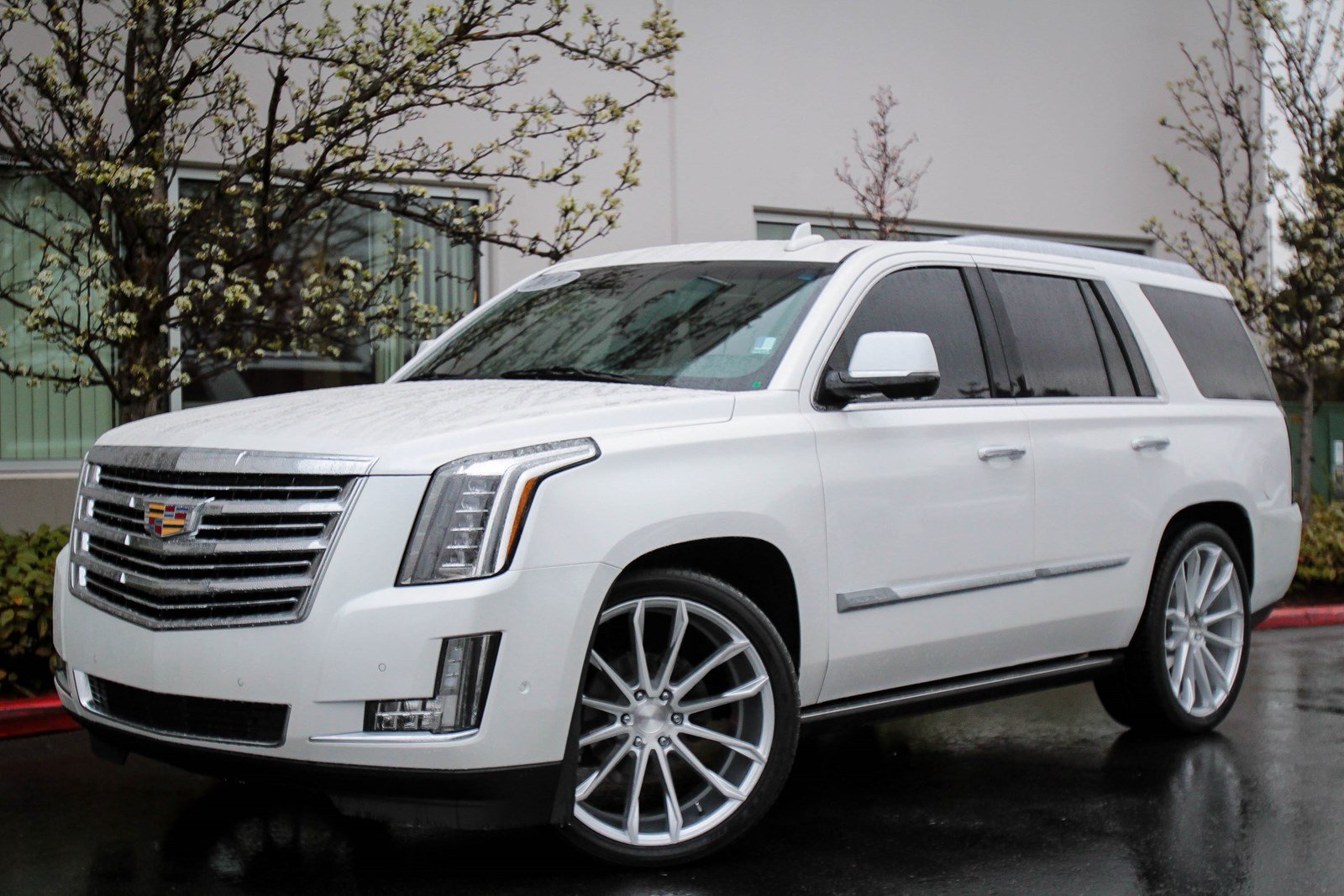 Pre-Owned 2019 Cadillac Escalade Platinum Sport Utility in Bellevue ...